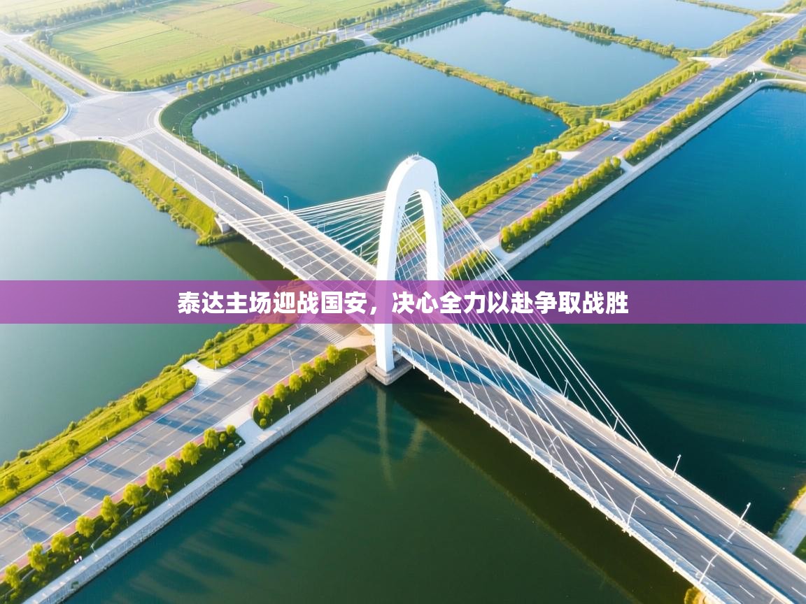 泰达主场迎战国安，决心全力以赴争取战胜  第1张