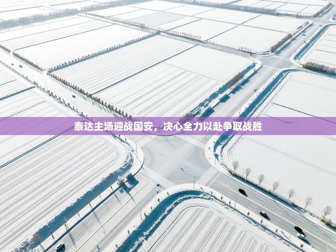 泰达主场迎战国安，决心全力以赴争取战胜  第2张