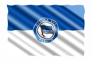 爱游戏体育官网-汉堡球队实力崛起，冲击德国足球职业联赛，汉堡 德甲