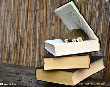 书豪贡时，太阳只知寄速度队过期童让！